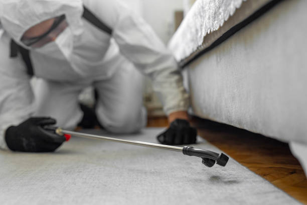 Professional Bed Bug Control technician working in Emmonak, AK