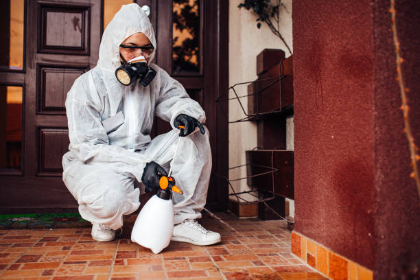 Reliable Bed Bug Control contractor in Emmonak, AK by Nex Pest Control