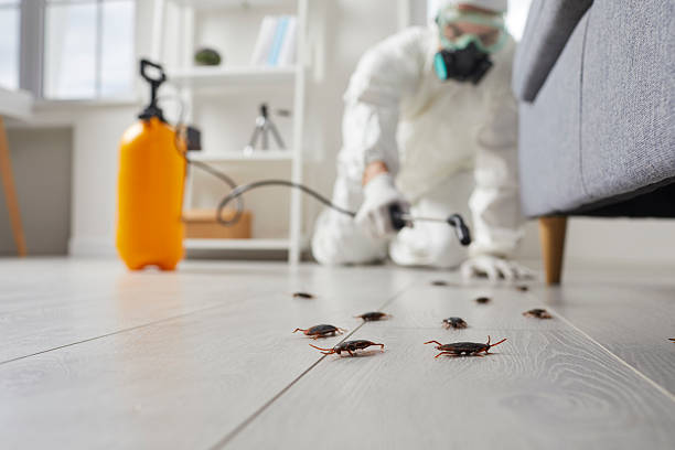 Trusted Rodent Control service in Emmonak, AK - Nex Pest Control